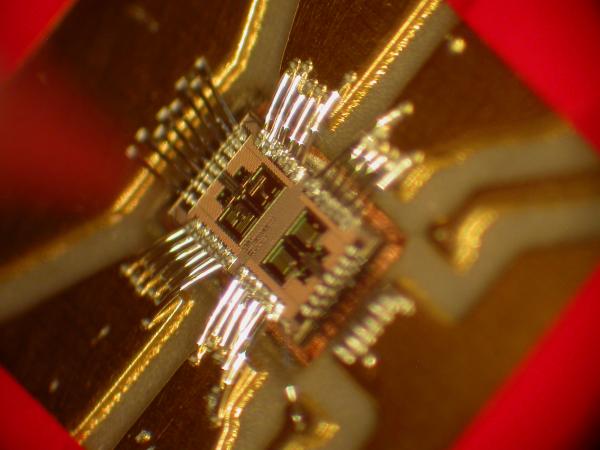Close view of the LeafCutter chip inside a board cavity and wire-bonded